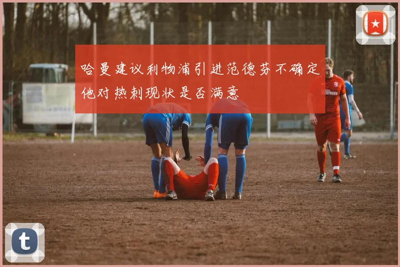哈曼建议利物浦引进范德芬不确定他对热刺现状是否满意